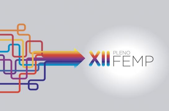 XII pleno FEMP