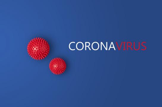 coronavirus 2